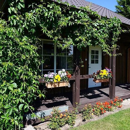 Kelluka Holiday House Pärispea Exteriér fotografie