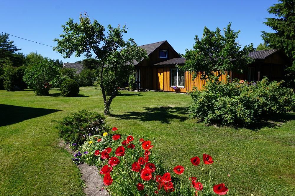 Kelluka Holiday House Pärispea Exteriér fotografie
